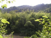 River Ayampe