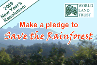 Take the Rainforest Pledge