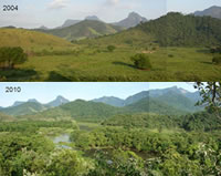 Images showing the reforestation success from 2004 to 2010