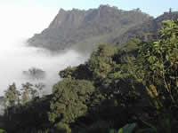 Buenaventura Reserve