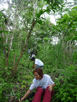 Volunteers Tree Planting