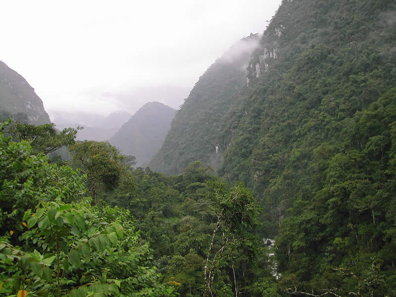 Tapichalaca hills Ecuador. Credit Nigel Simpson.
