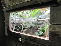 Ranger hut window