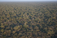 Aerial view of the Dry Chaco