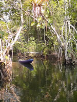 Kayak through Lagua Grande Reserve