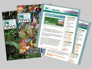 WLT Newsletters