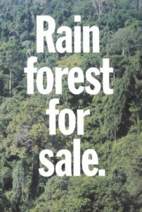 Rainforest for Sale