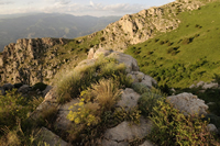 View over the Caucasus Wildlife Refuge