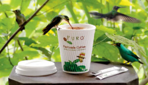 Humming birds on a Puro coffee cup
