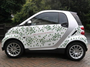 Smart car decorated to raise funds for WLT