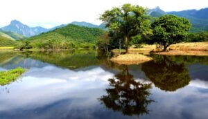 Guapi Assu Reserve in Brazil's Atlantic Rainforest