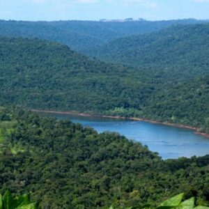 Misiones Rainforest Corridor project