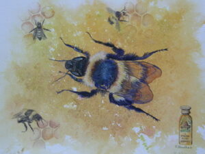 A Taste of Honey by Jan Houchen, on display at WLT gallery until 25 March 2013