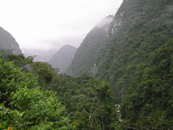 The Tapichalaca Reserve