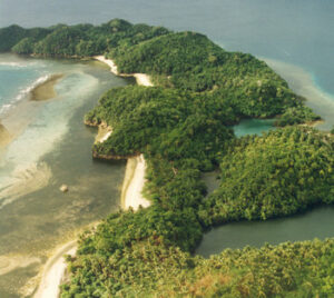 Danjugan island from the air. © WLT.