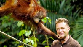 Chris Packham with an Orang-utan