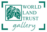 WLT gallery logo