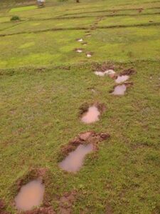 Footprints across a field.