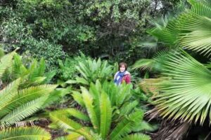 Viv Burton surrounded by cycads in Mexico