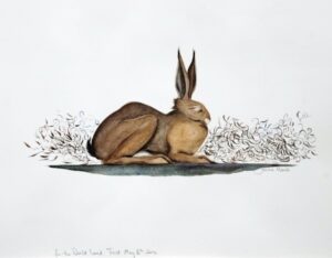 Watercolour of a sleeping hare.