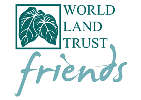 WLT Friends logo.