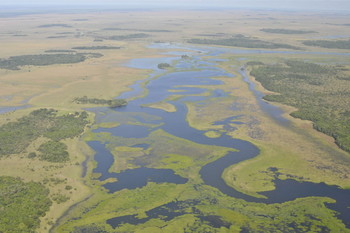 Bolivia’s Beni savanna from the air