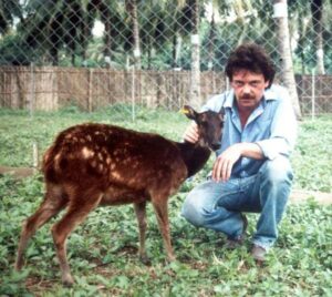 William Oliver with a tame female Visayan Spotted Deer.