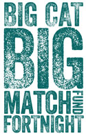 Big Cat Big Match logo