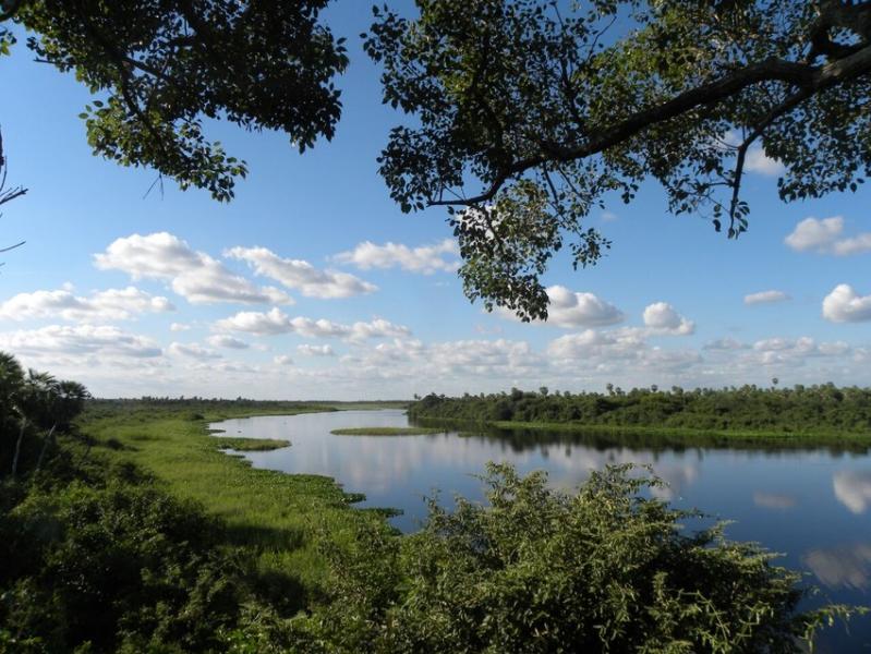 View over the Chao-Pantanal reserve in Paraguay, from the viewing tower.