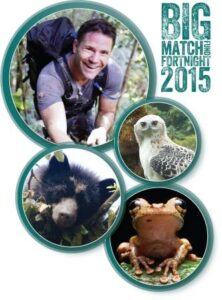 Big Match Fortnight images of Steve Backshall, Spectacled Bear, Black-and-chestnut Eagle and Buckley's Slender-legged Tree Frog.