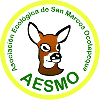AESMO-logo