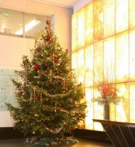 A decorated Christmas tree supplied by Enterprise Plants.