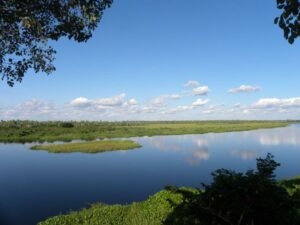 View of Chaco-Pantanal.