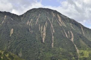 Landslides on the mountainside.