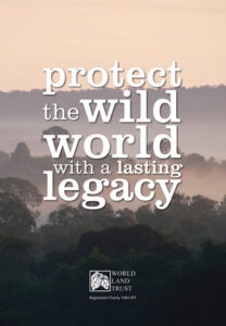 WLT legacy leaflet front cover