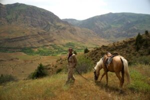 Ranger with horse in Caucasus mountains