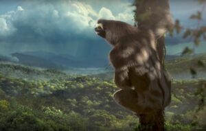 Sloth in BBC trailer