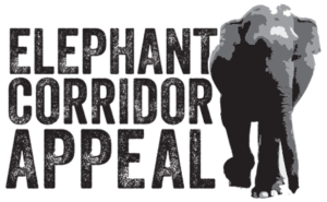 elephant-appeal-logo