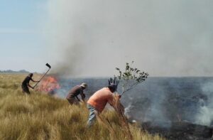 Fighting fires in the Beni savanna