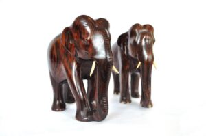 Elephant auction