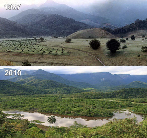 REGUA timelapse