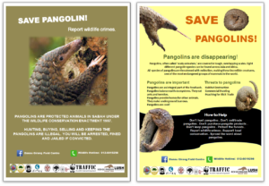 Pangolin posters