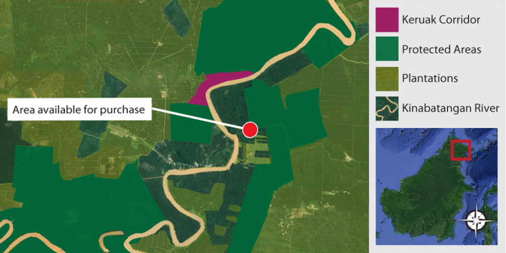 Kinabatangan map showing Keruak corridor and new project area - World ...