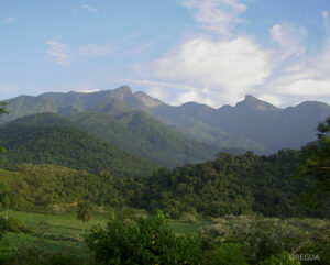 A view of Atlantic Forest and mountains at REGUA, Brazil.