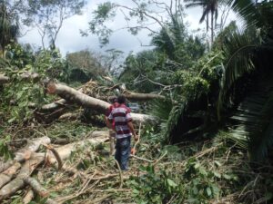 Pictures from the Hurricane Earl damage at Rio Bravo. Credit Programme for Belize.