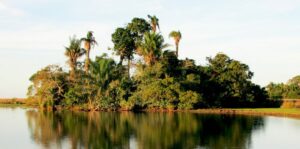 Bolivia Islas Rio Tiniji Barba Azul