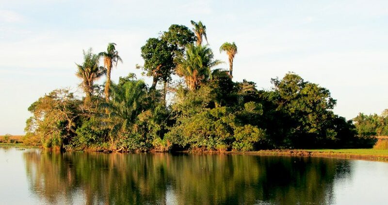 Bolivia Islas Rio Tiniji Barba Azul