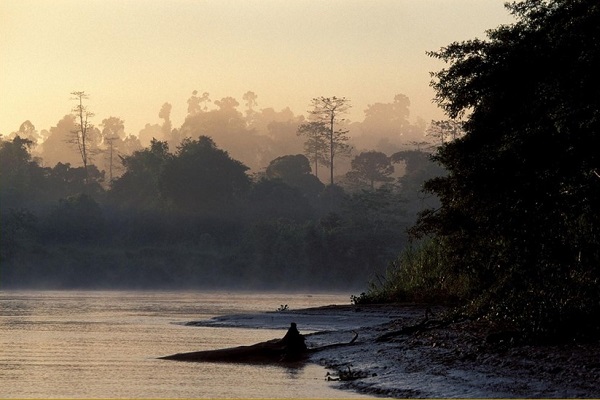 Kinabatangan River