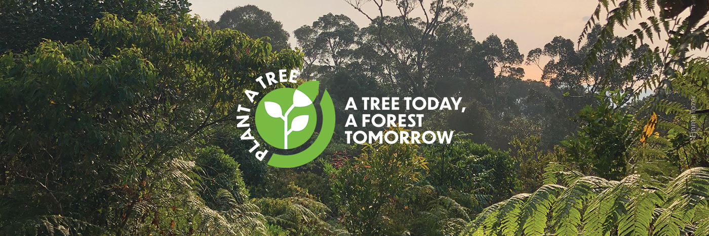 Plant a Tree