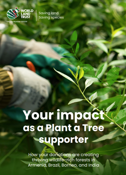 Plant a Tree Impact Report